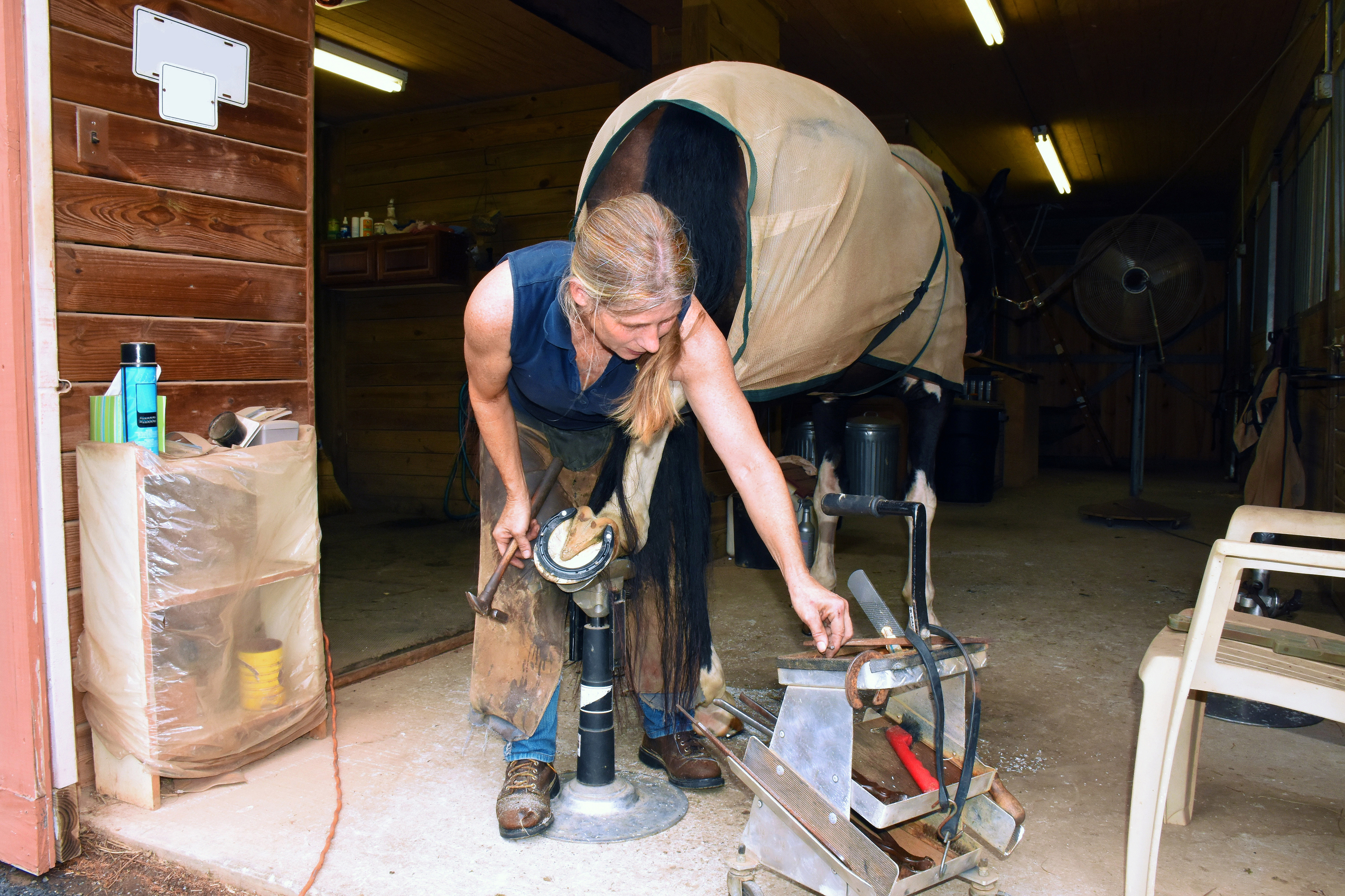 A farrier is shoeing a horse's back leg