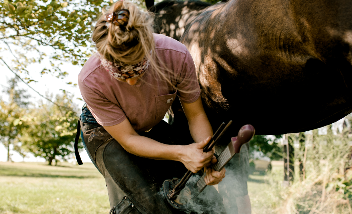 Jess Baker Horseshoeing