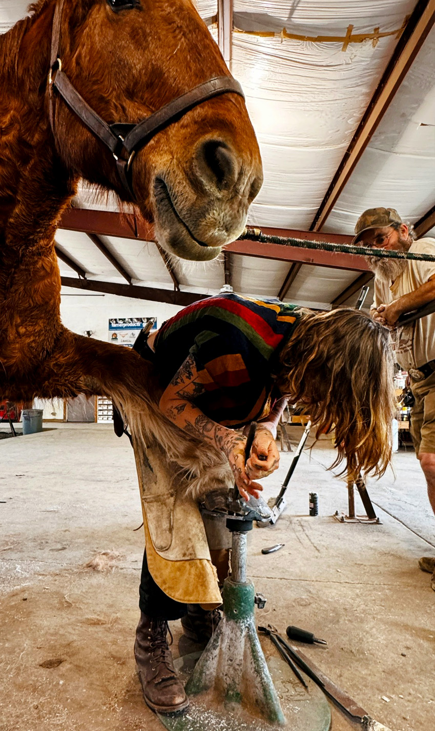 Pacific Coast Horseshoeing school