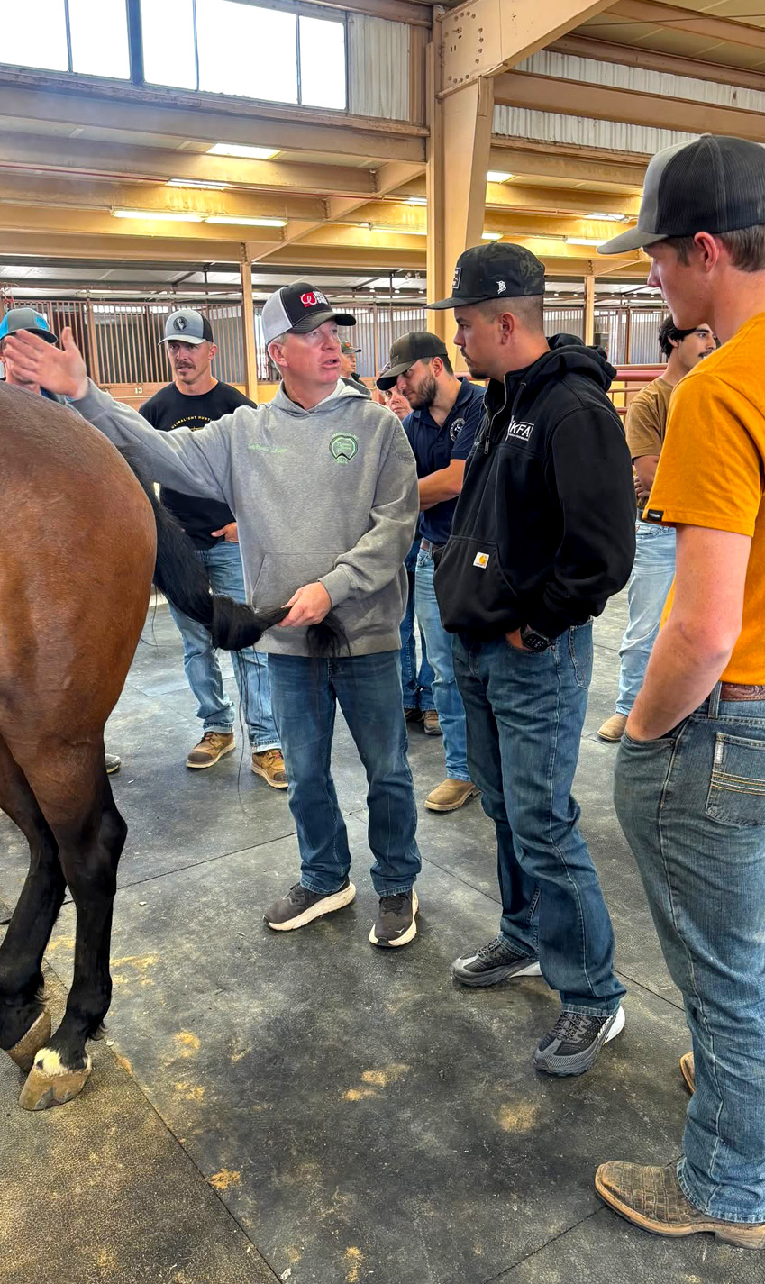 Five Star Horseshoeing School