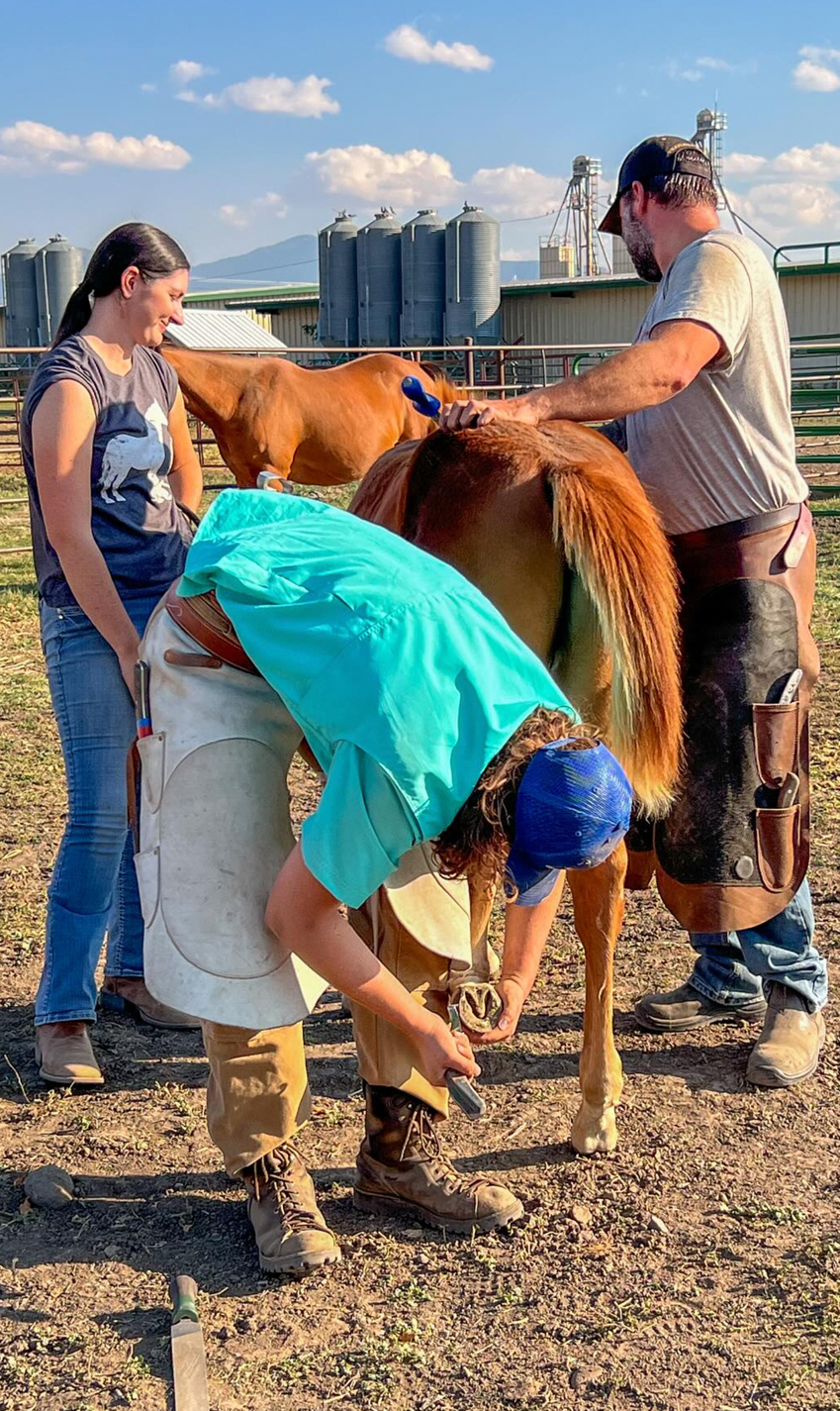 MSU Farrier Program