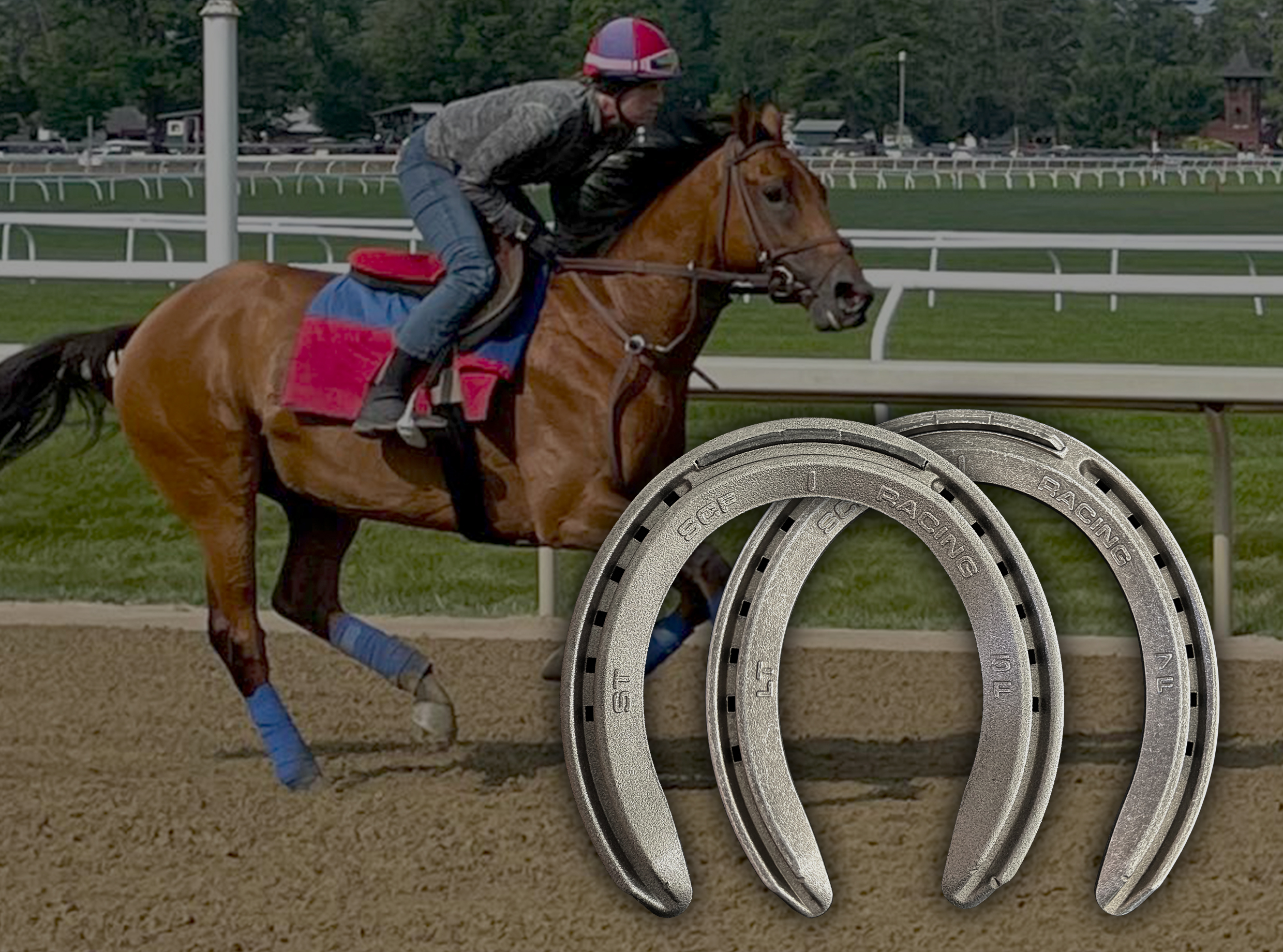 SCF Racing ST & LT Horseshoes