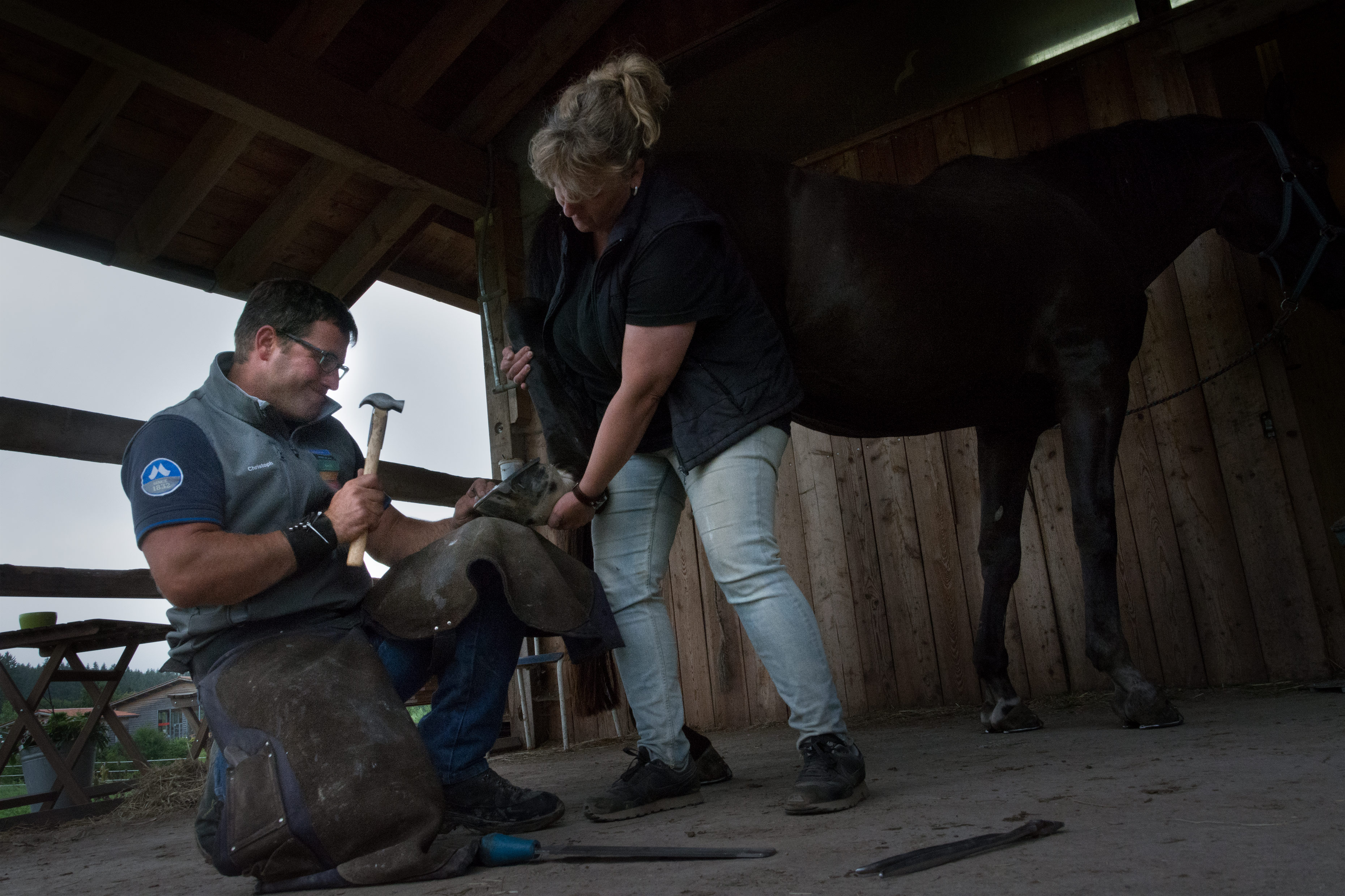 The German farrier Christoph Müller driving a nail in a hoof