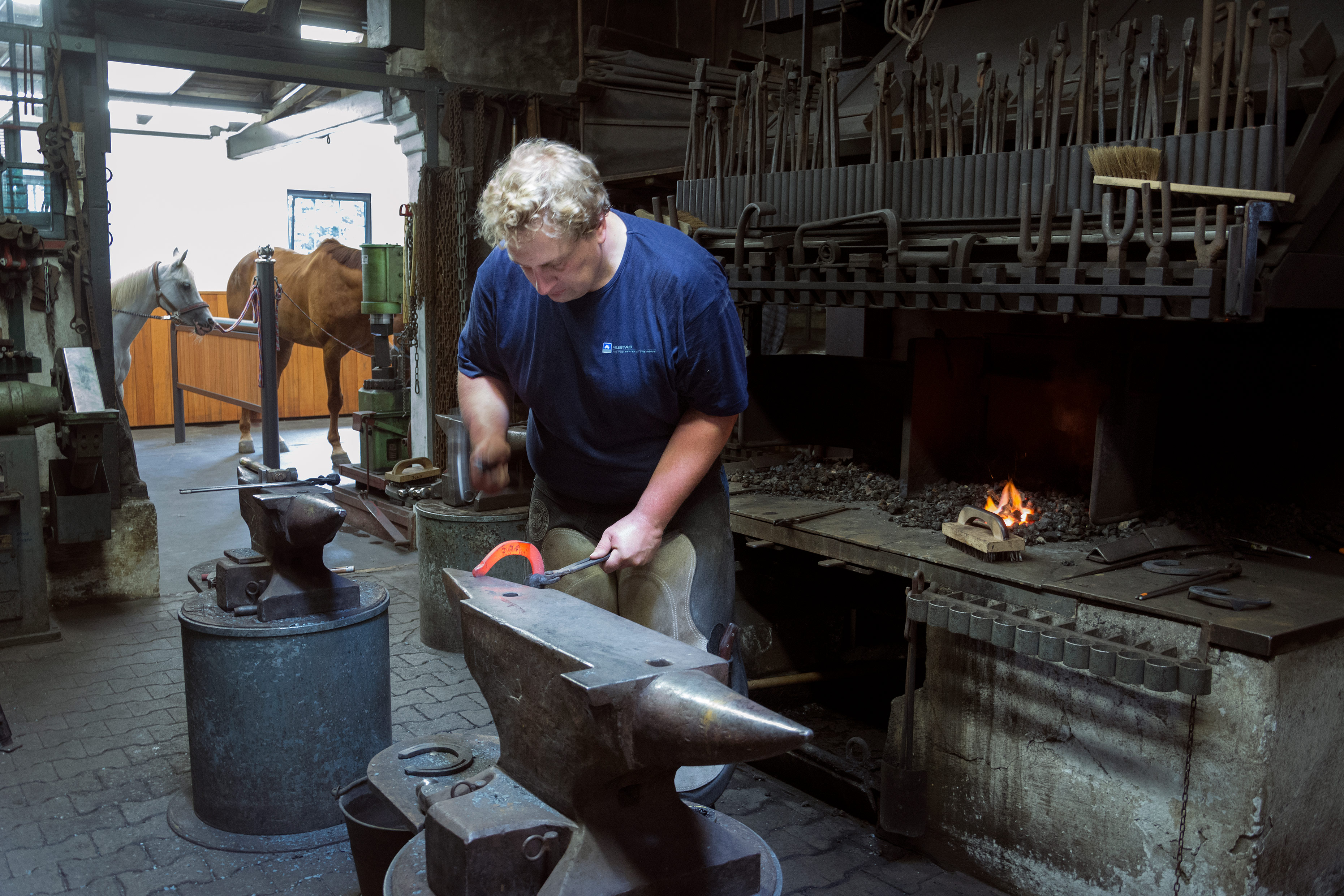 The German farrier Christoph Schweppe forging a horseshoe