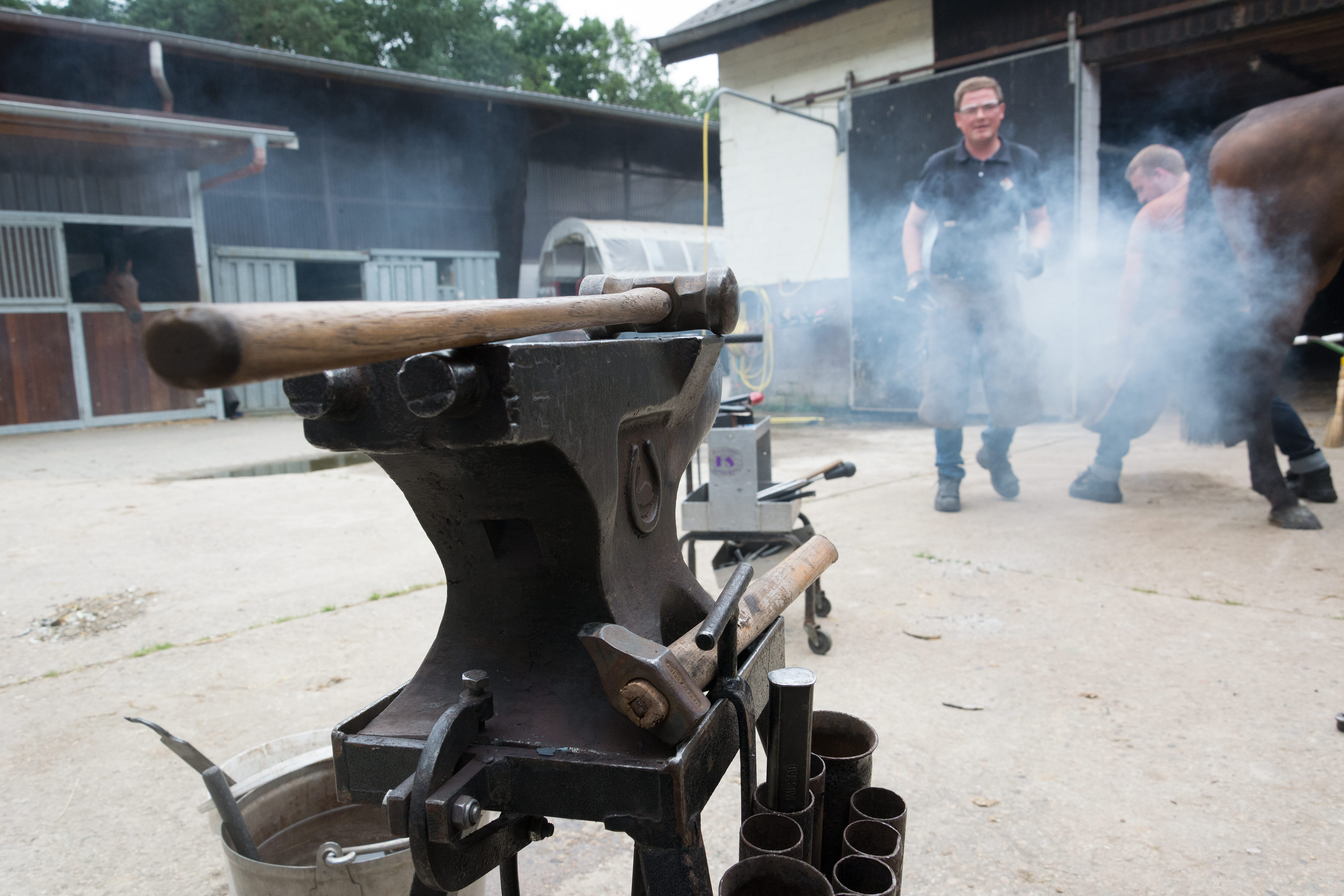 Errol Wernike's anvil and hammers