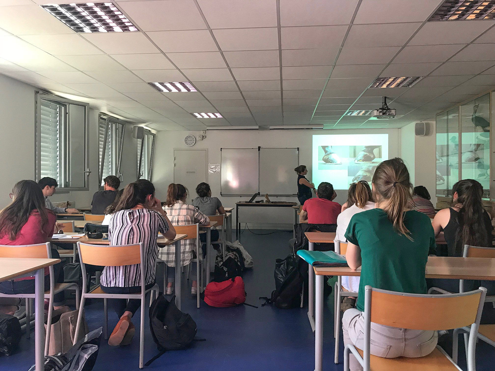 Vet students diring a clinic about hoof care