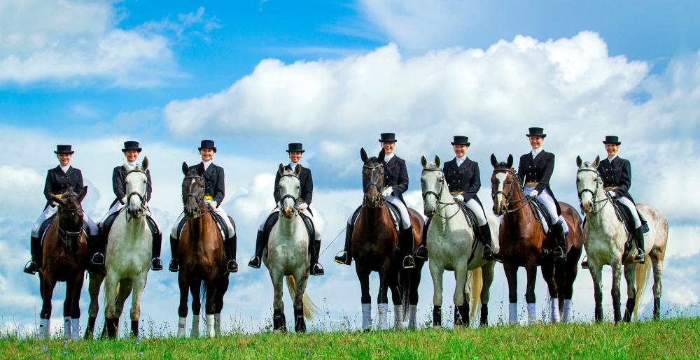 A group of women on dressage horses