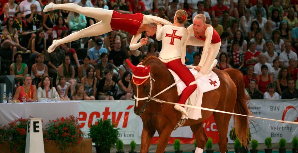 Un grupo en un concurso de acrobacias a caballo