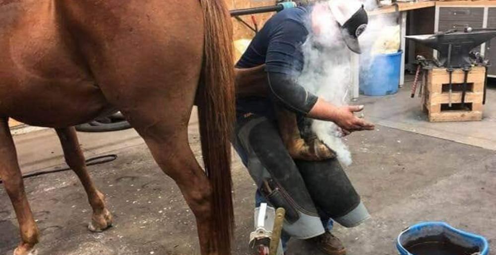 Jake Stonefield, CJF2 shoes a horse
