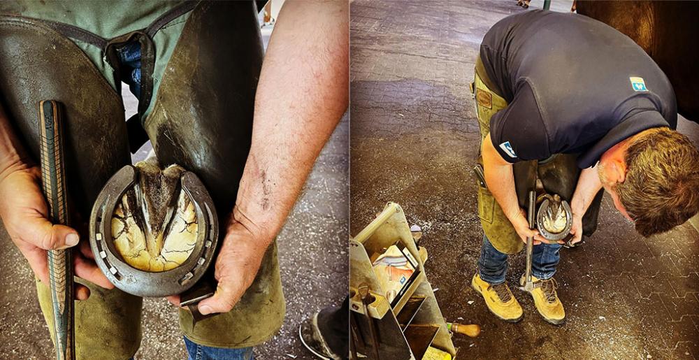 Farrier Paul O'Reilly