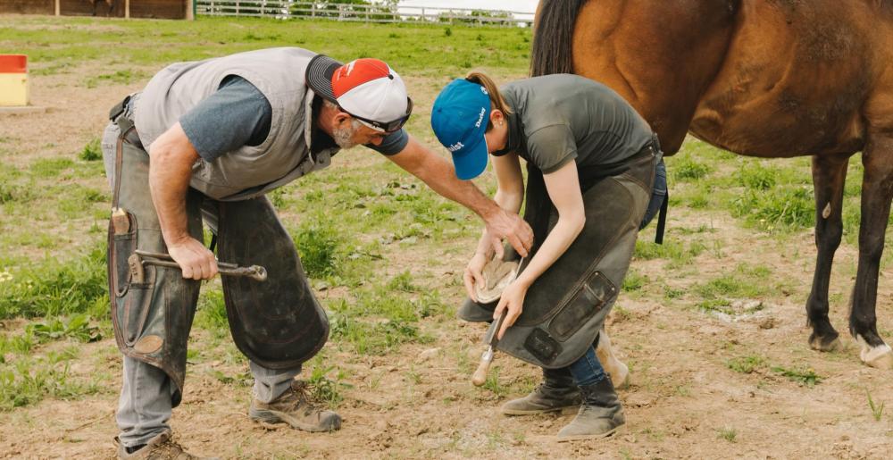 KY Horseshoeing School