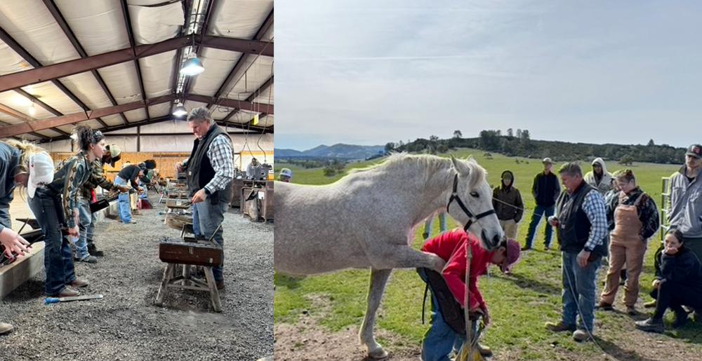 Bob Smith Pacific Coast Horseshoeing School