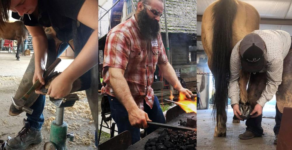 Farrier students at Pacific Coast Horseshoeing School