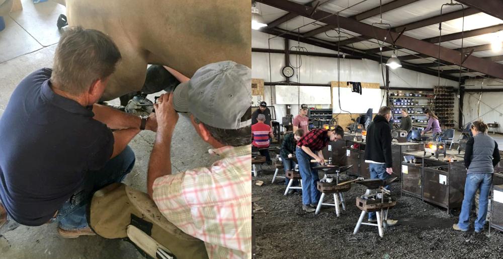 Pacific Coast Horseshoeing School