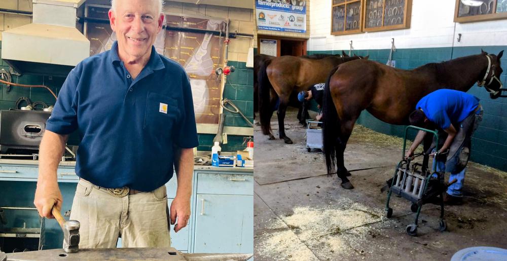 cornell university farrier school 1