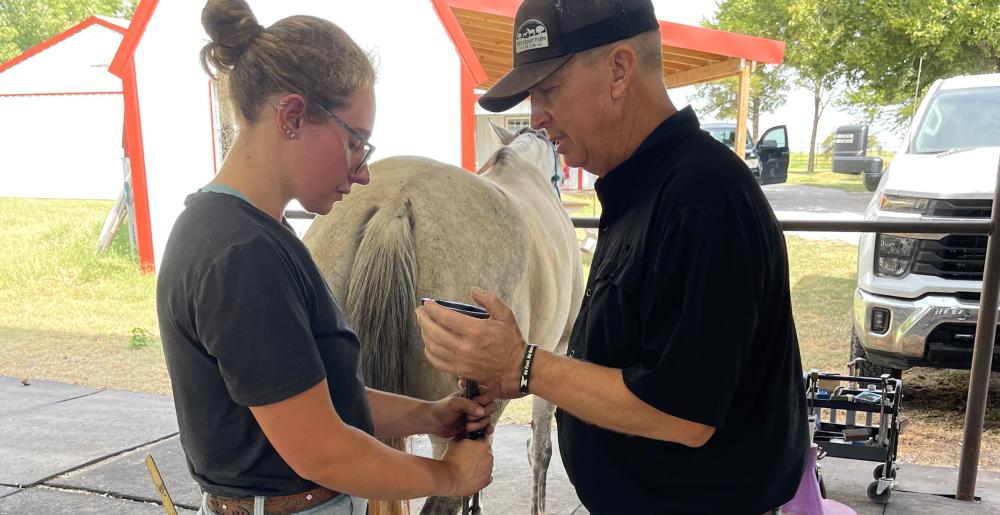 Five Star Horseshoeing School