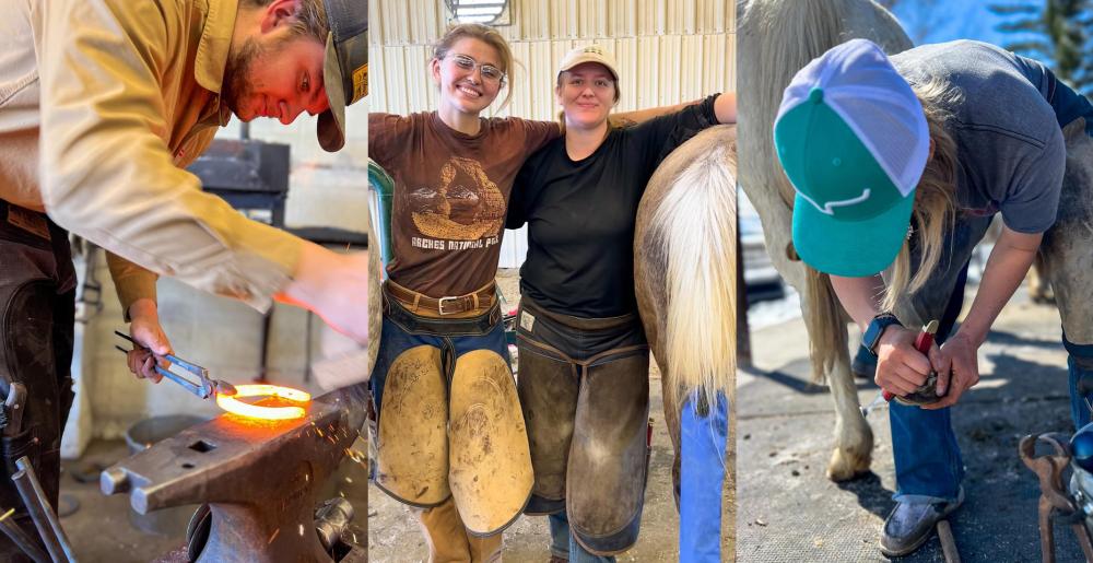 MSU Farrier Program