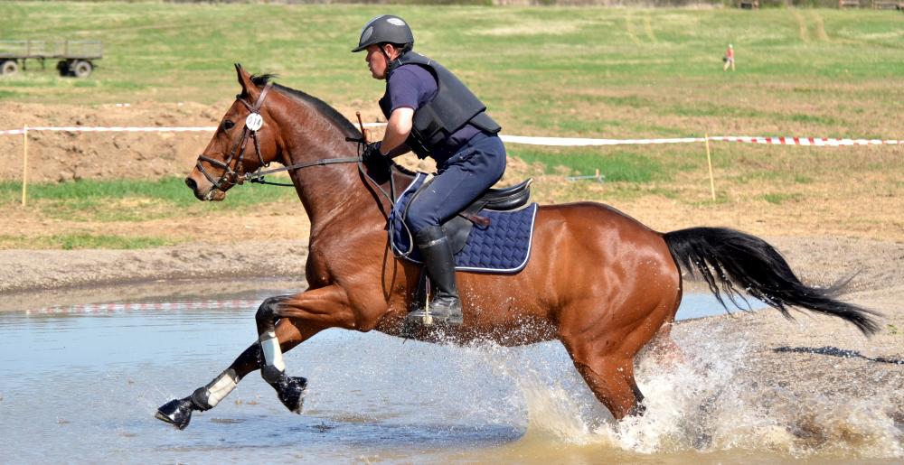 Rider and horse in the water during a Cross-country