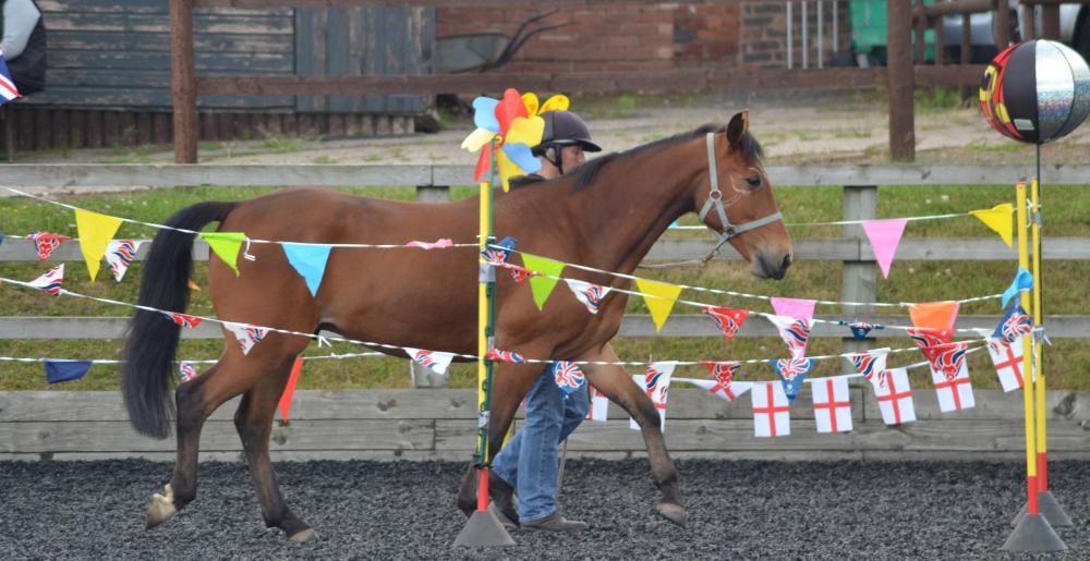 Concurso de agilidad equina