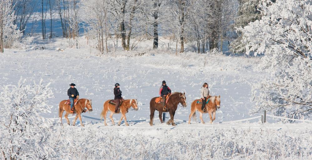 A group of riders in the snow