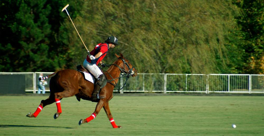 A polo player