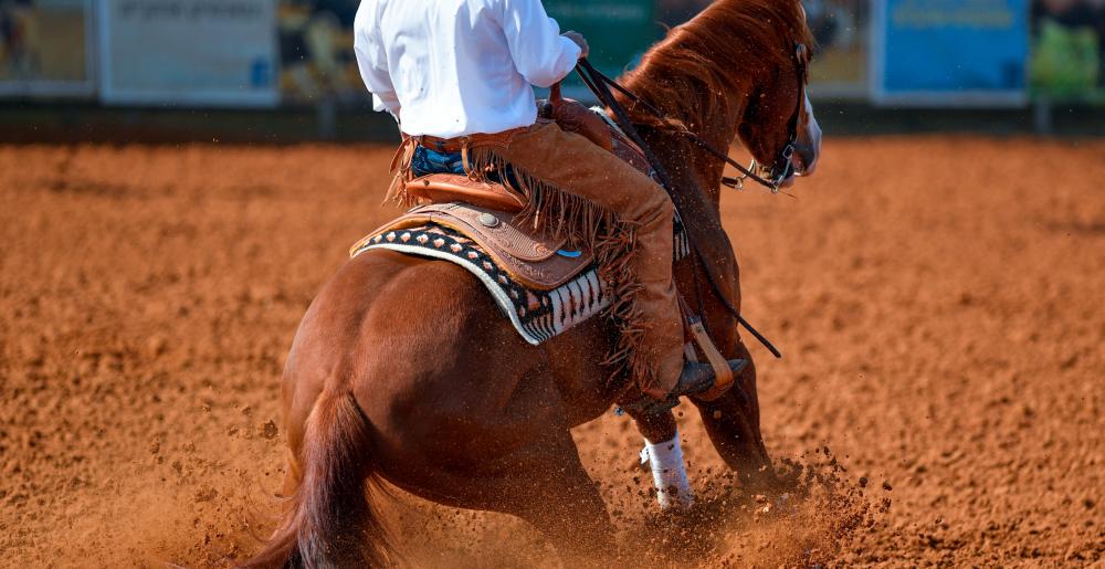 A reining contest