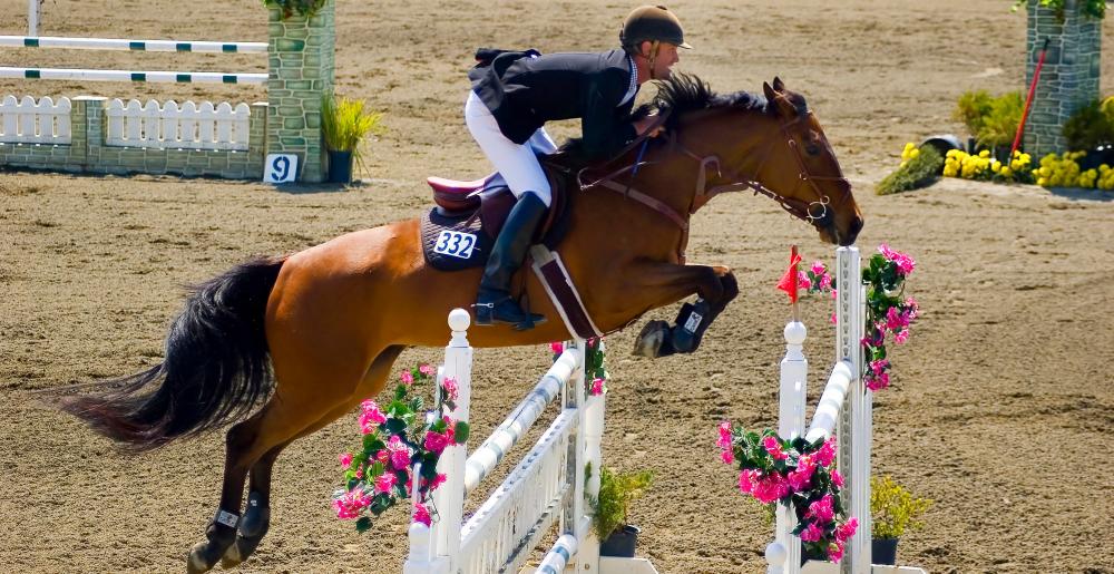 A show jumper in a contest