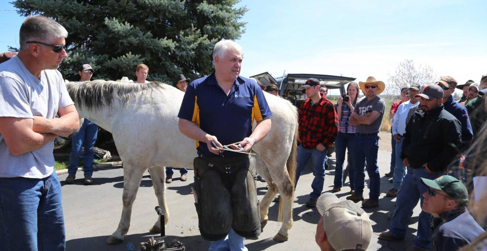 Grant Moon gives a clinic for farriers in the US