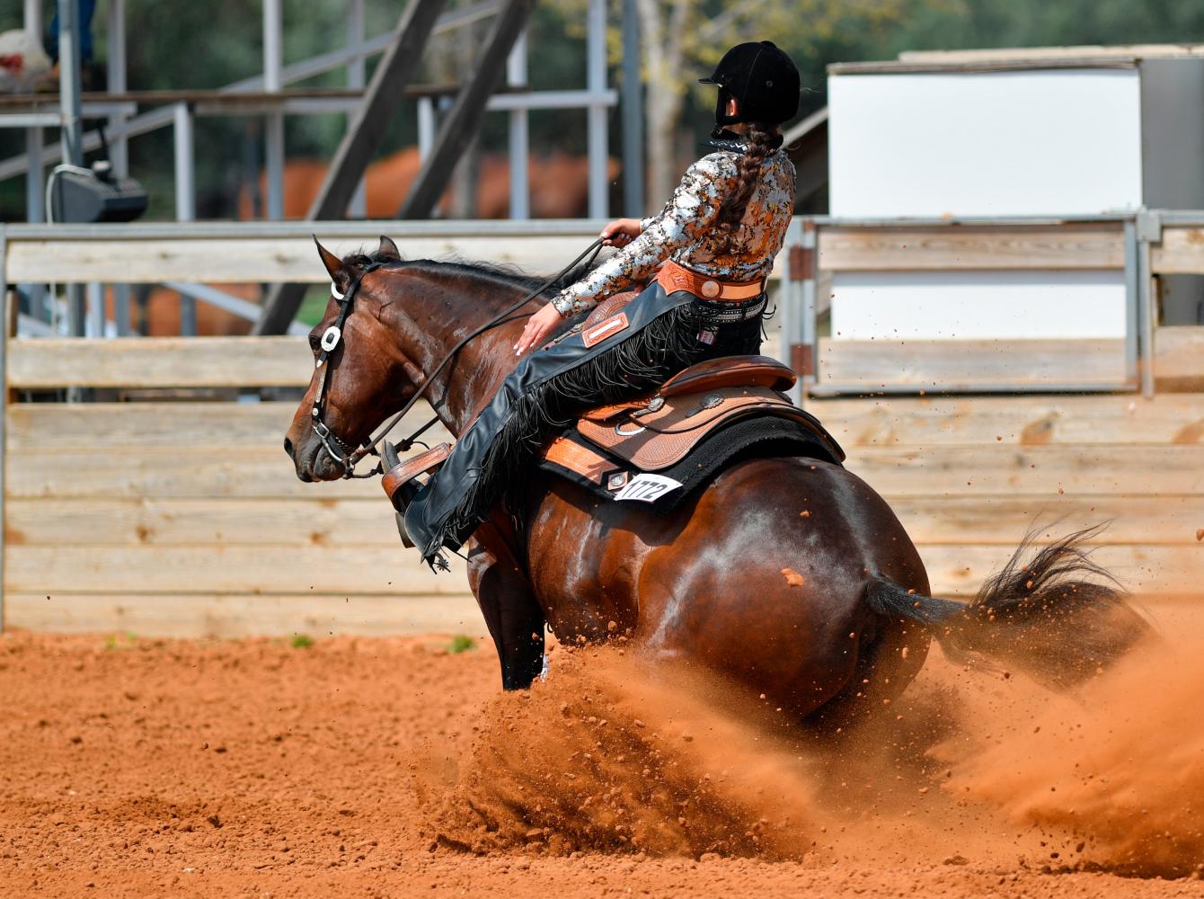 Un concurso de reining