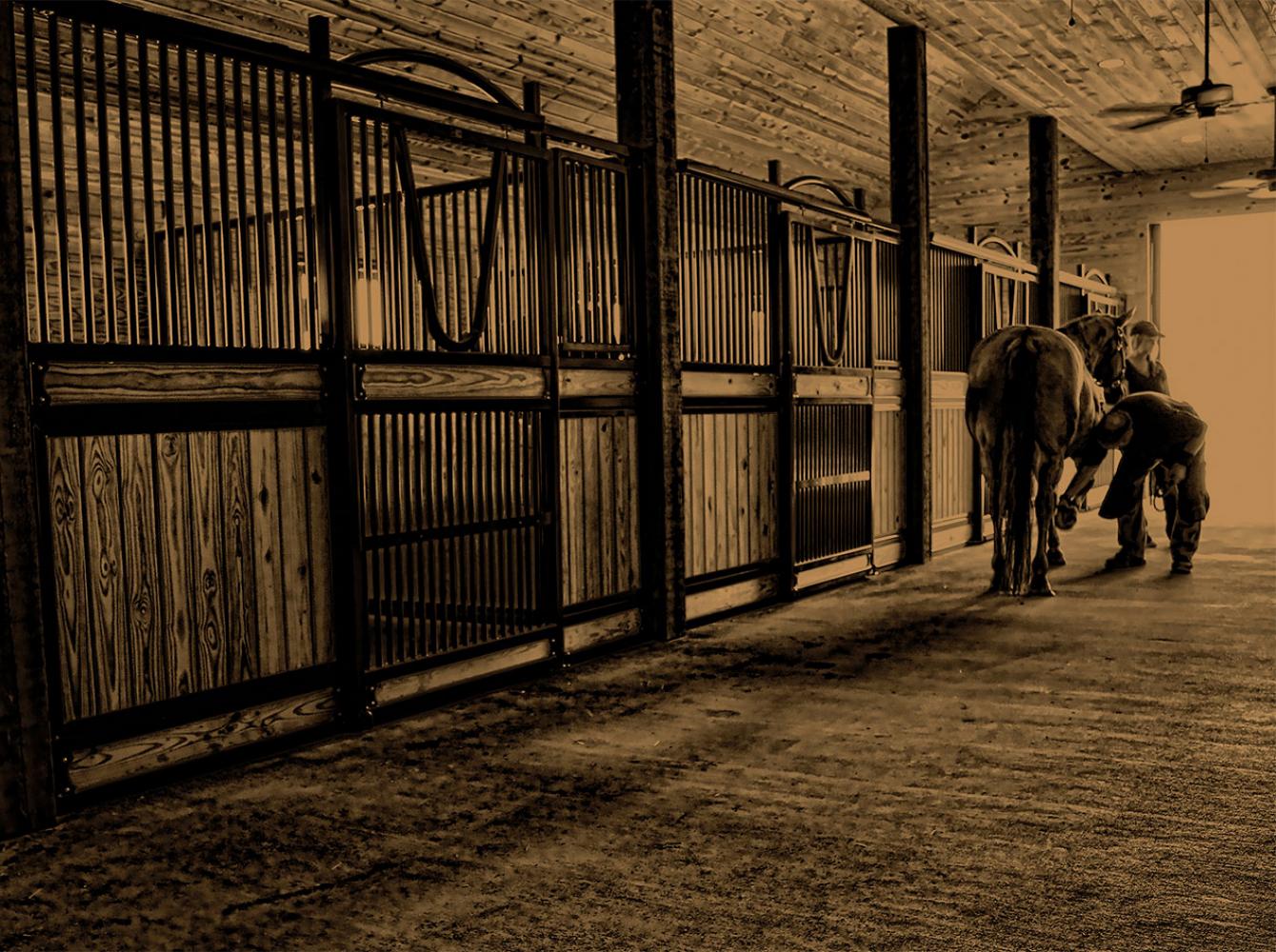 Farrier shoeing a horse in a barn