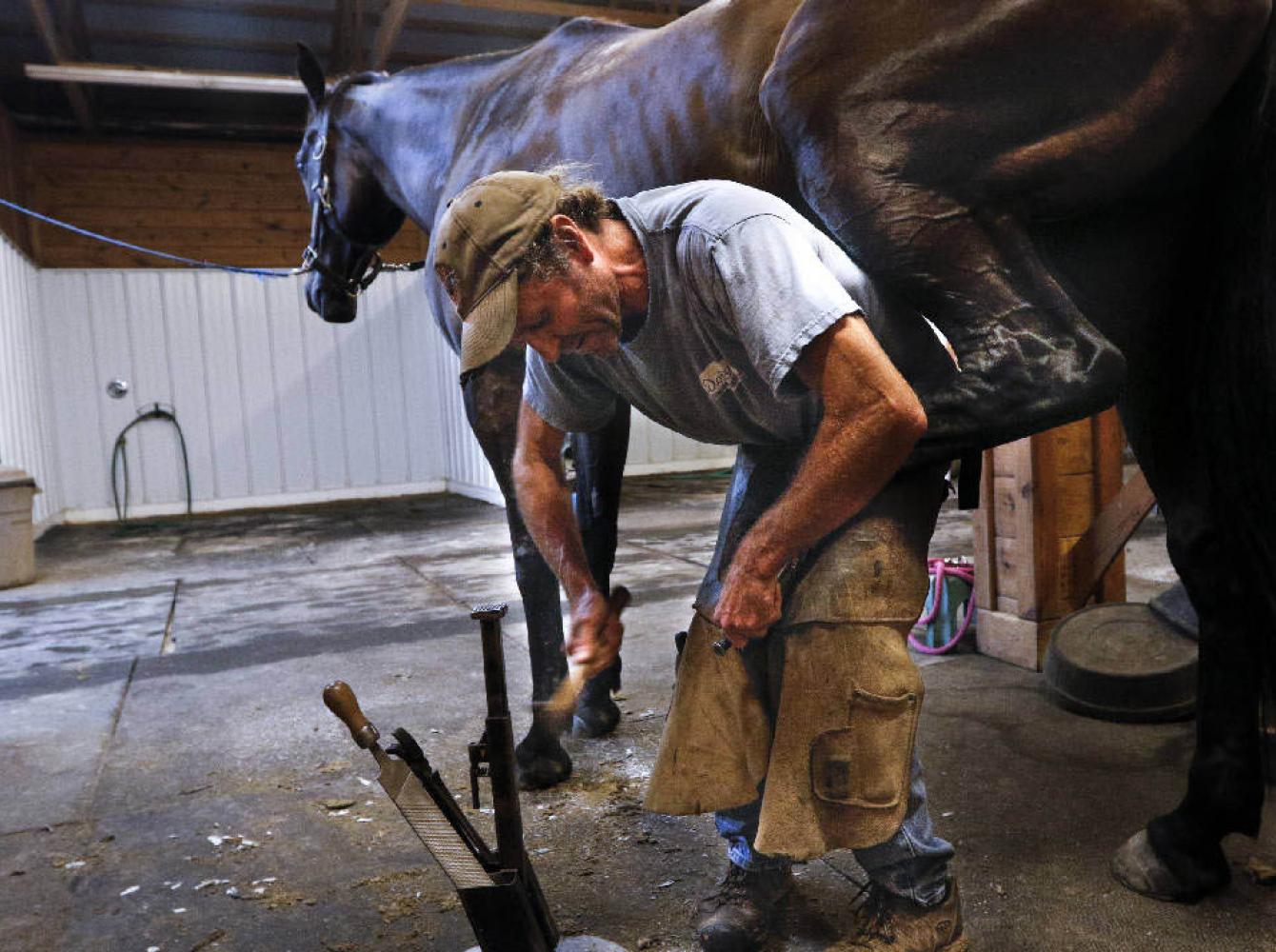 Farrier