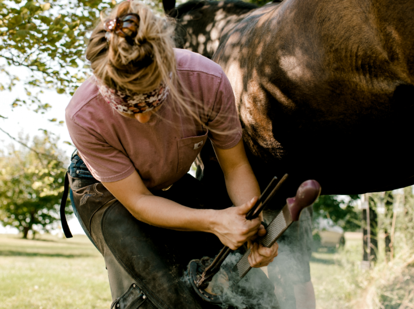 Jess Baker Horseshoeing
