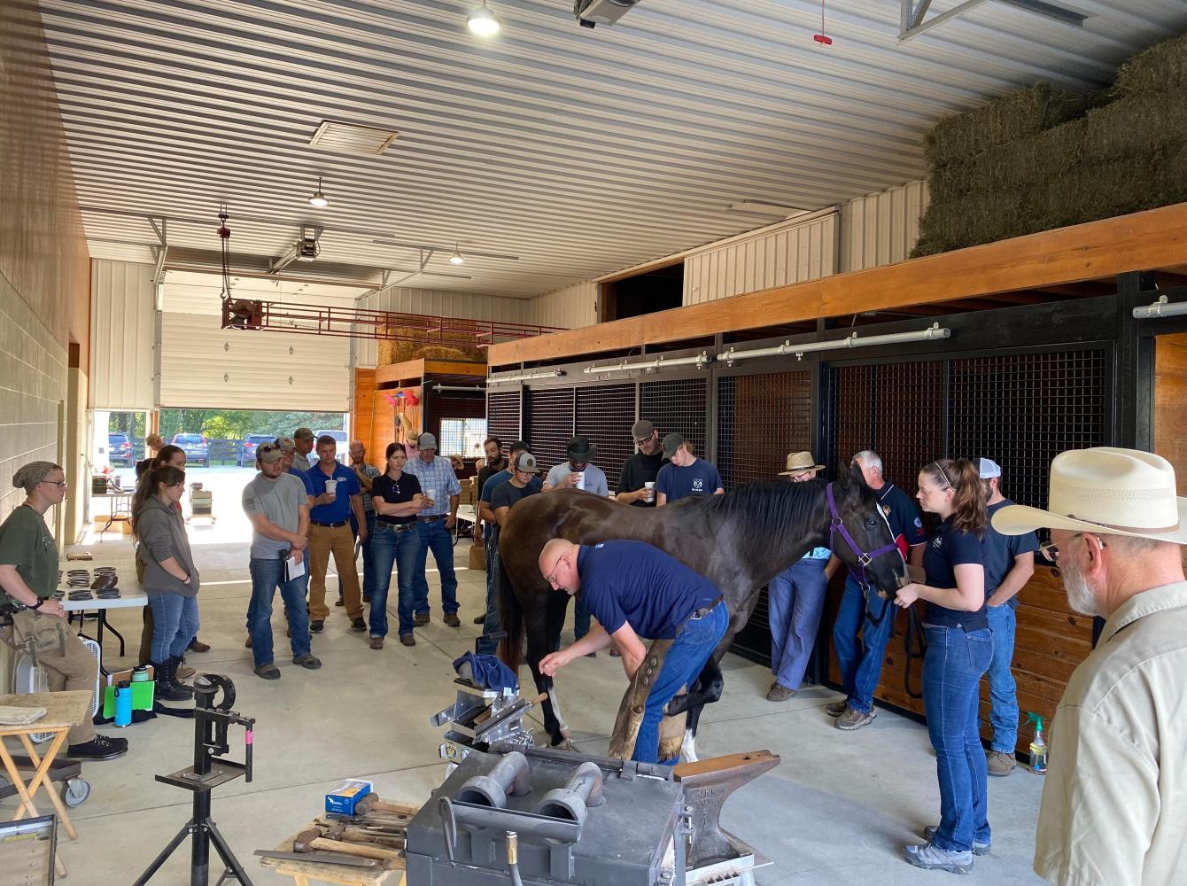 IFA Summer Clinic