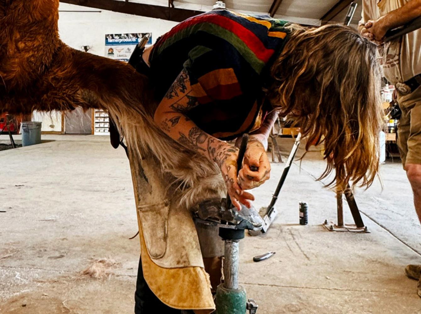 Pacific Coast Horseshoeing school