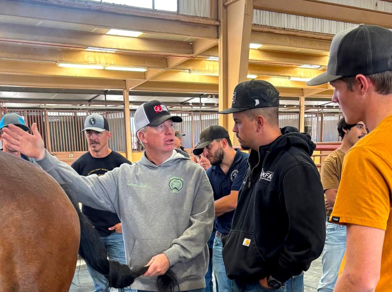 Five Star Horseshoeing School