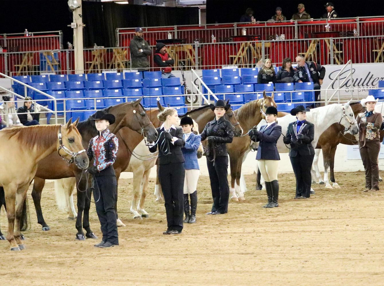 A Horse showmanship contest