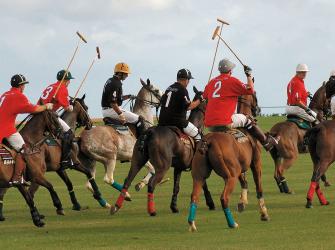 A polo contest