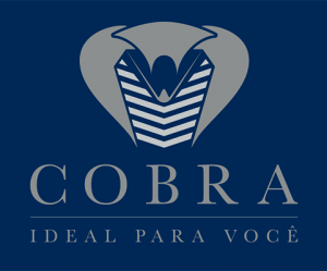 Cobra Nails Logotype